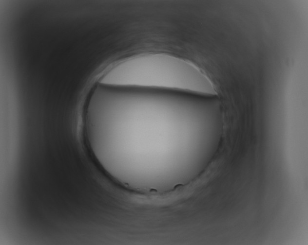 X0000101460005200807071142