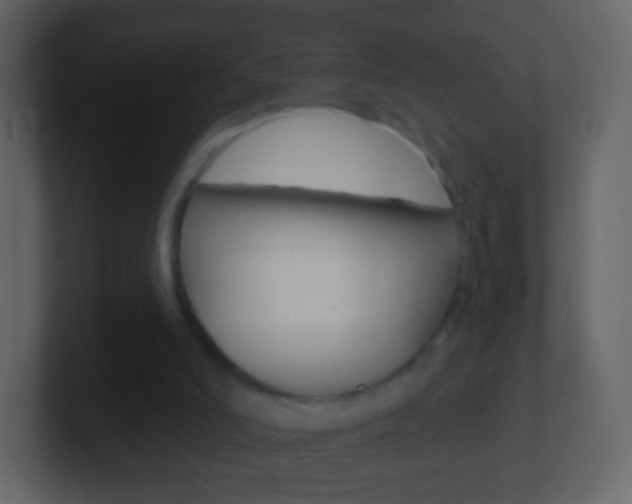 X0000101460006200807071142
