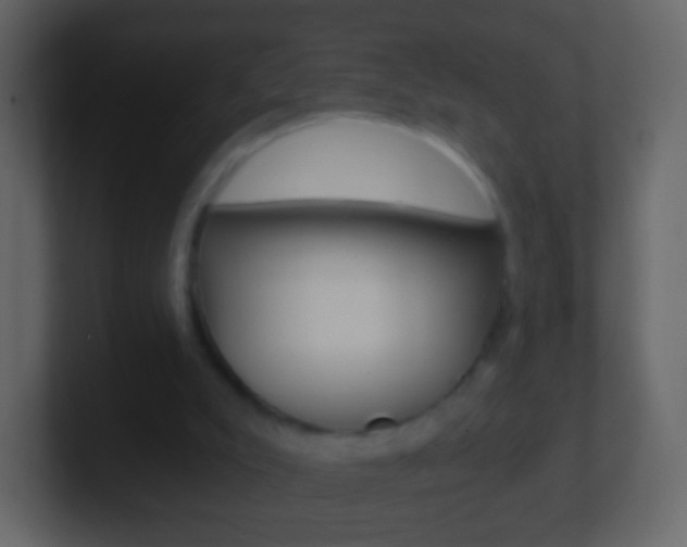 X0000101460007200807071142