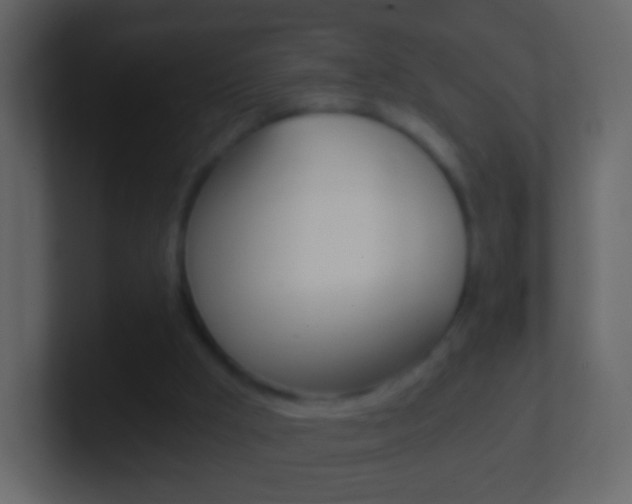 X0000101460009200807071142
