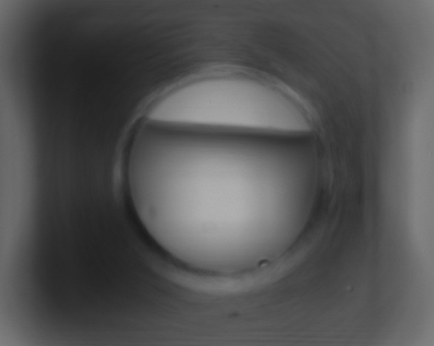X0000101460015200807071142