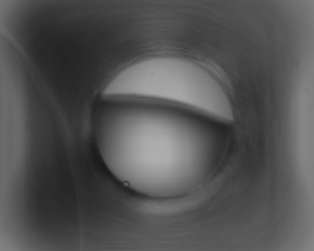 X0000101460017200807071142