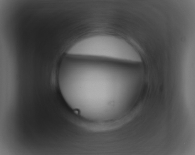X0000101460023200807071142