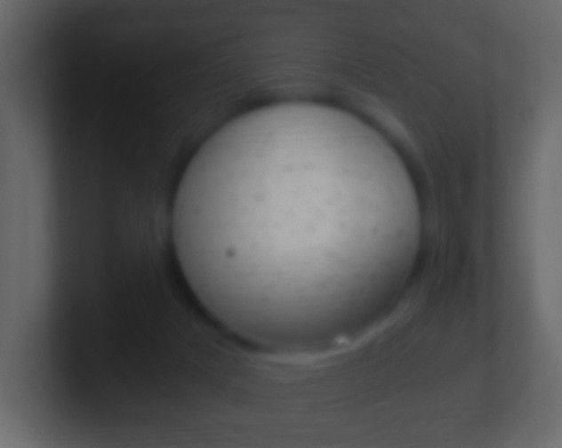 X0000101460025200807071142