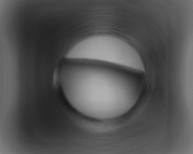 X0000101460028200807071142