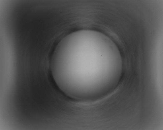 X0000101460029200807071142