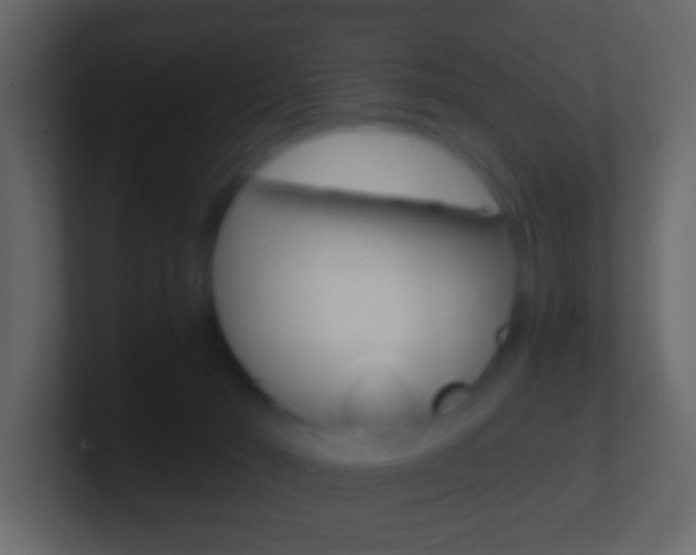 X0000101460030200807071142