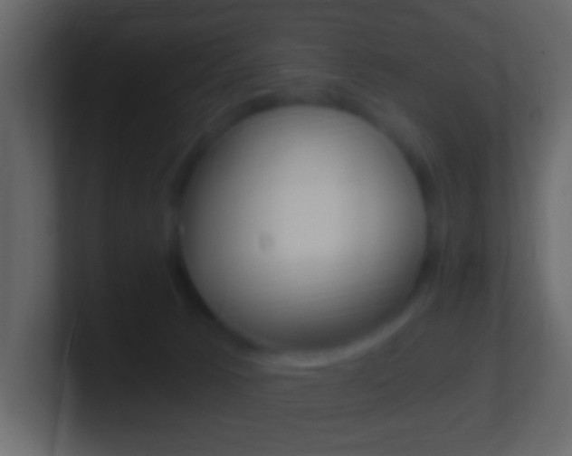 X0000101460033200807071142