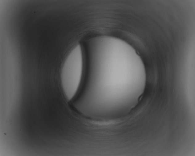 X0000101460036200807071142