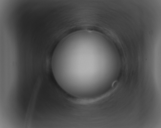 X0000101460037200807071141