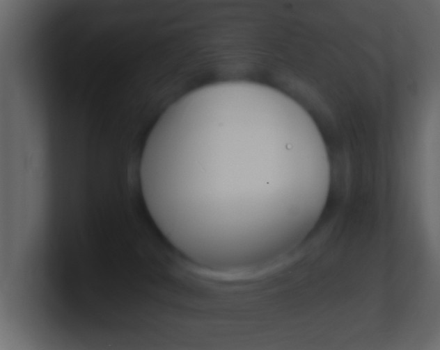 X0000101460038200807071141