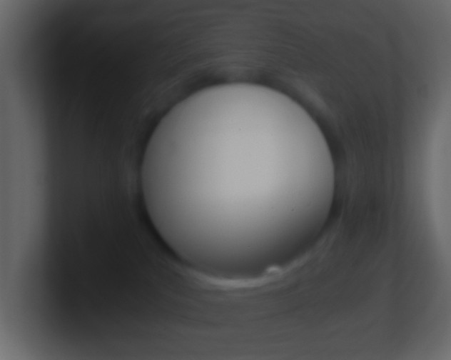 X0000101460039200807071141