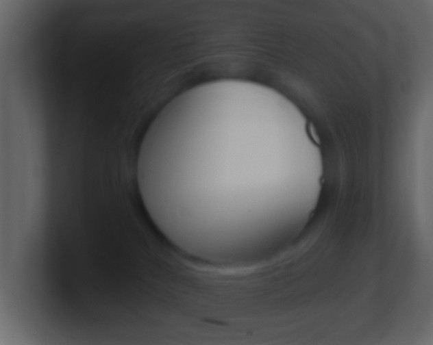 X0000101460040200807071141