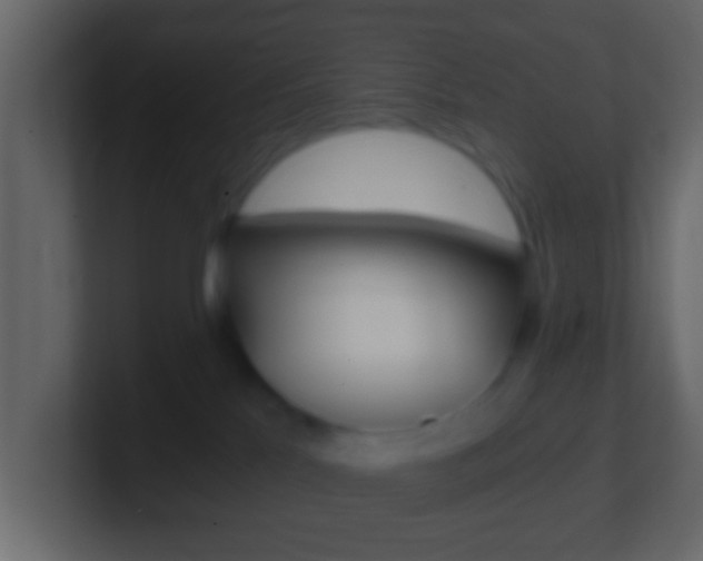 X0000101460041200807071141