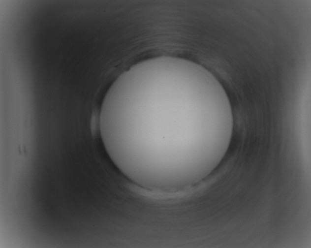 X0000101460042200807071141