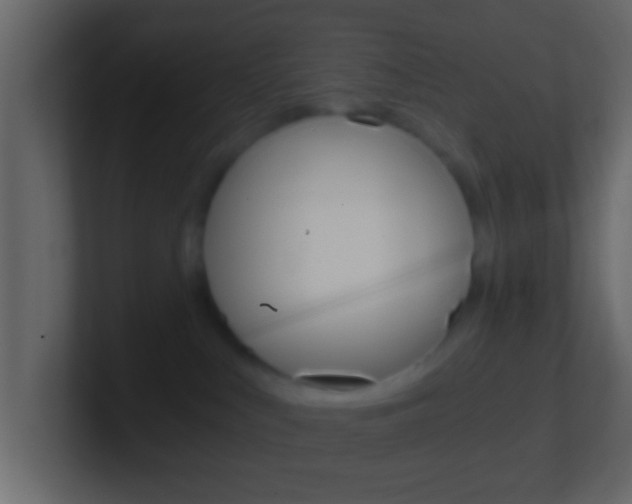 X0000101460043200807071141