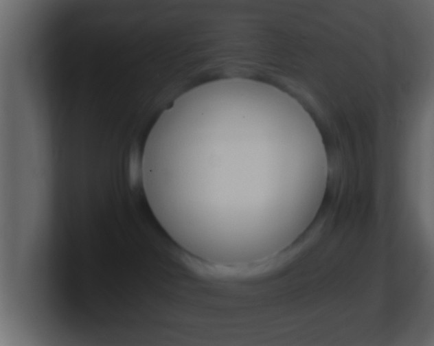 X0000101460046200807071141