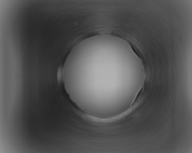 X0000101460047200807071141