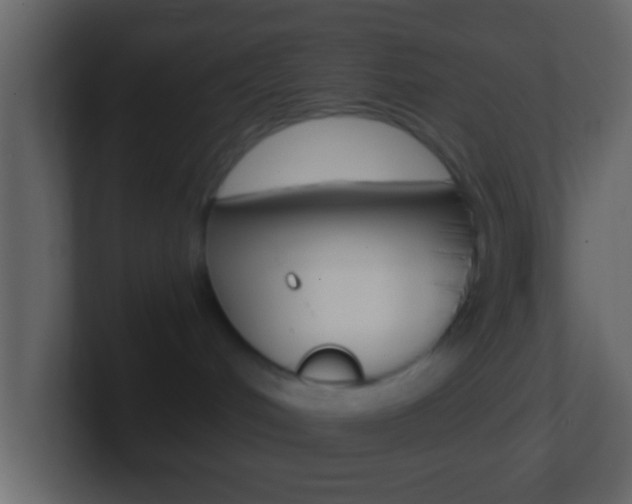 X0000101460048200807071141