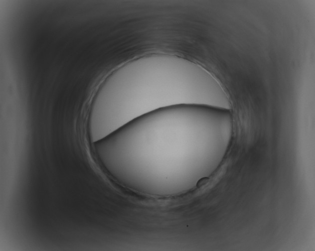 X0000101460049200807071141