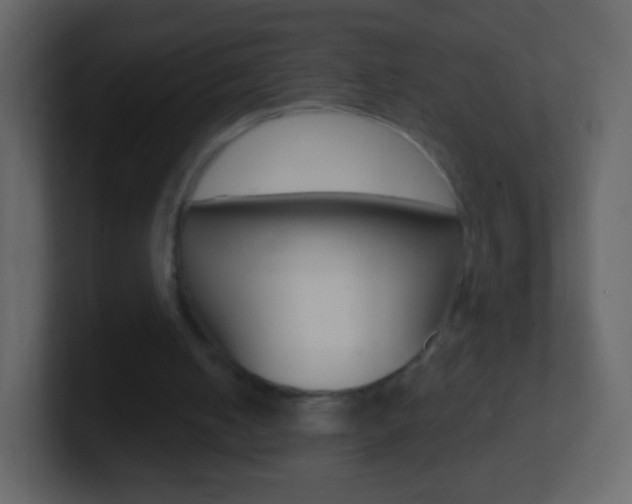 X0000101460050200807071141