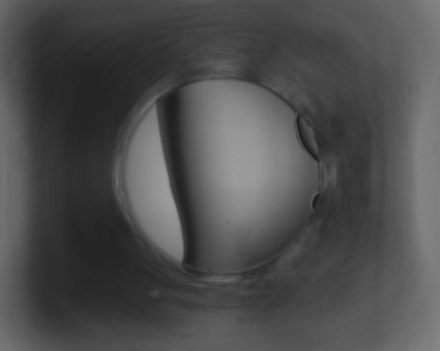 X0000101460051200807071141