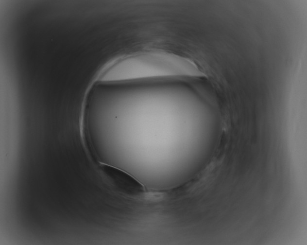 X0000101460052200807071141