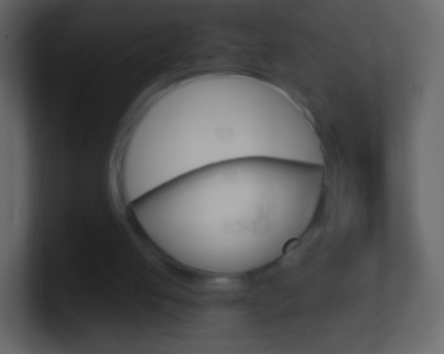 X0000101460053200807071141