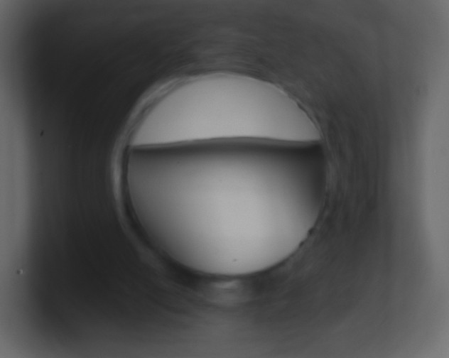X0000101460054200807071141