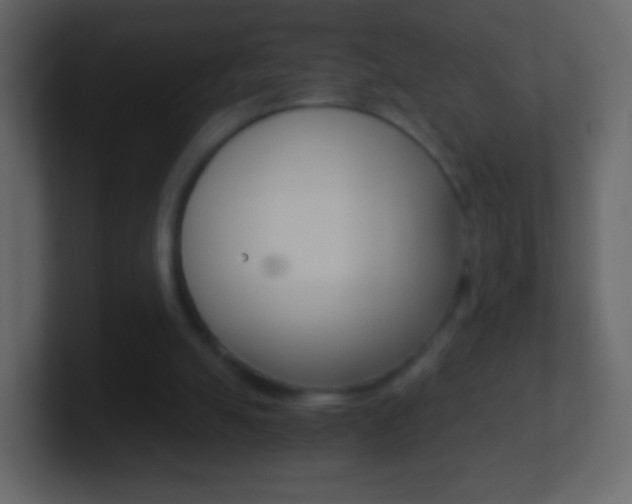 X0000101460055200807071141