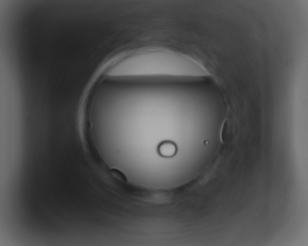 X0000101460056200807071141