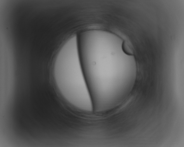 X0000101460061200807071141