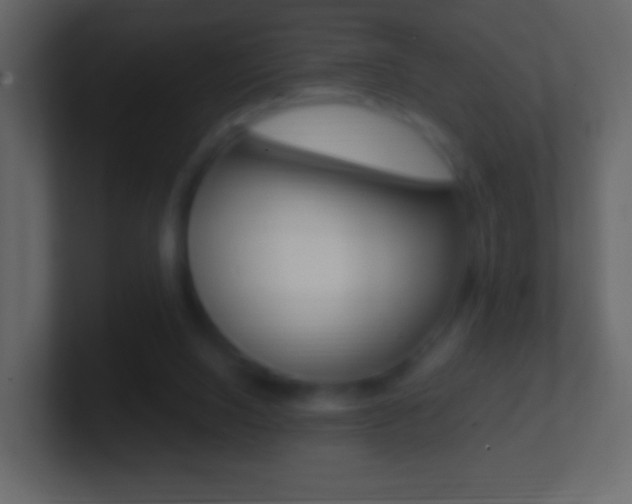 X0000101460064200807071141