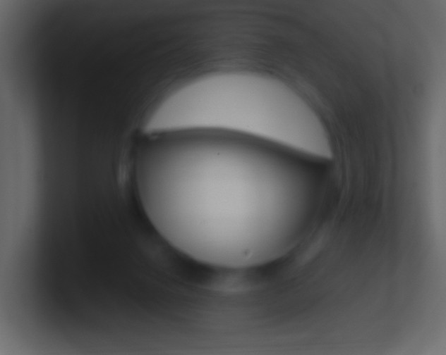 X0000101460072200807071141