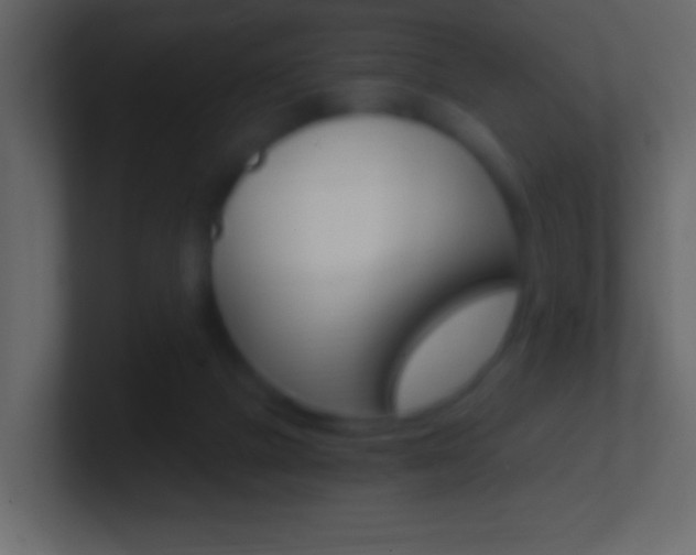 X0000101460073200807071141