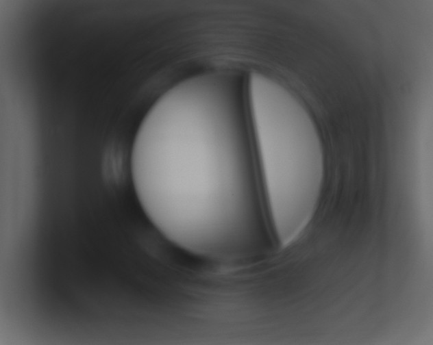 X0000101460074200807071141