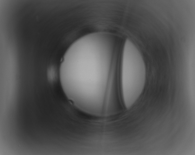X0000101460075200807071141
