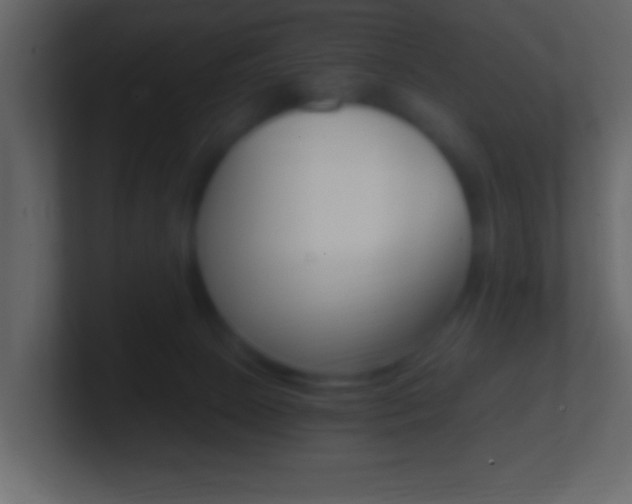 X0000101460081200807071141