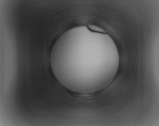 X0000101460085200807071141