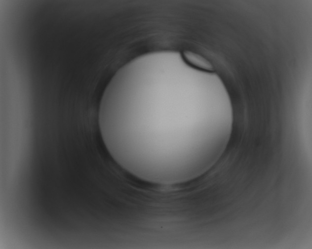 X0000101460087200807071141