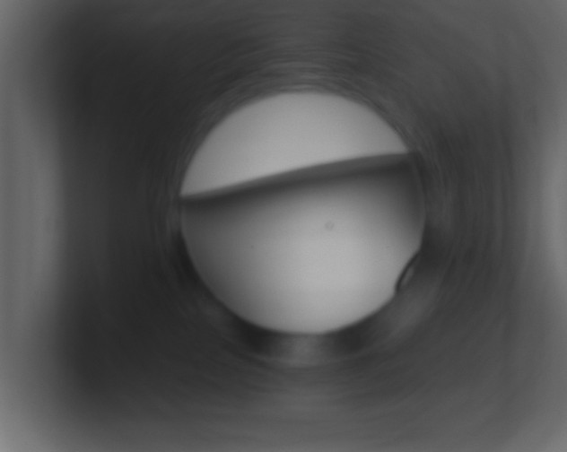 X0000101460089200807071141