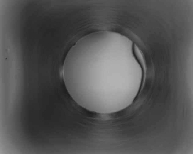 X0000101460095200807071141