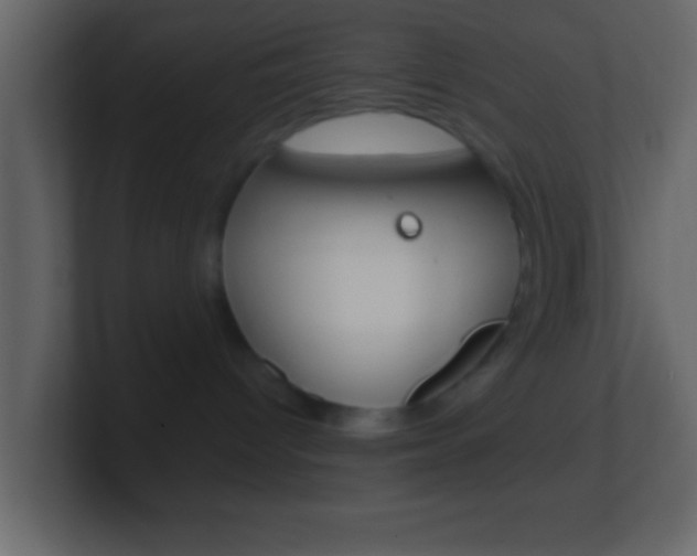 X0000101460096200807071141