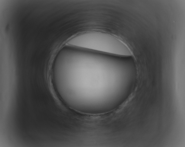 X0000101460097200807071141