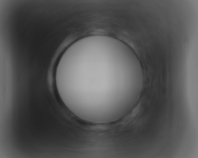 X0000101460102200807071141