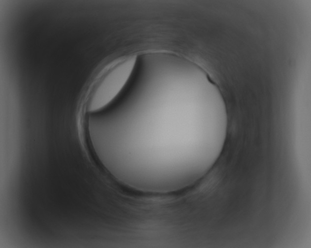X0000101460103200807071141