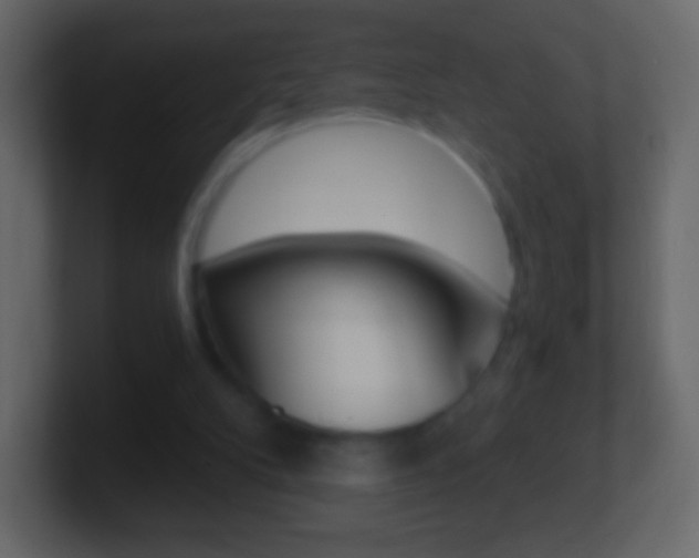 X0000101460104200807071141