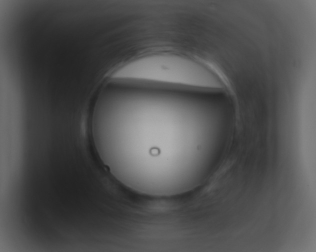 X0000101460105200807071141