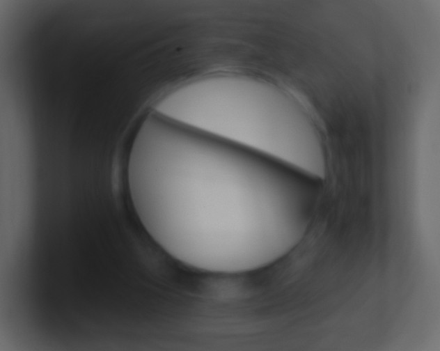 X0000101460106200807071141
