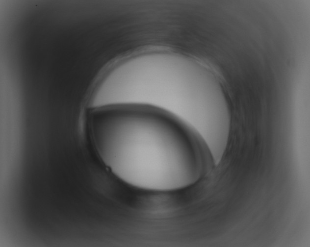 X0000101460108200807071141
